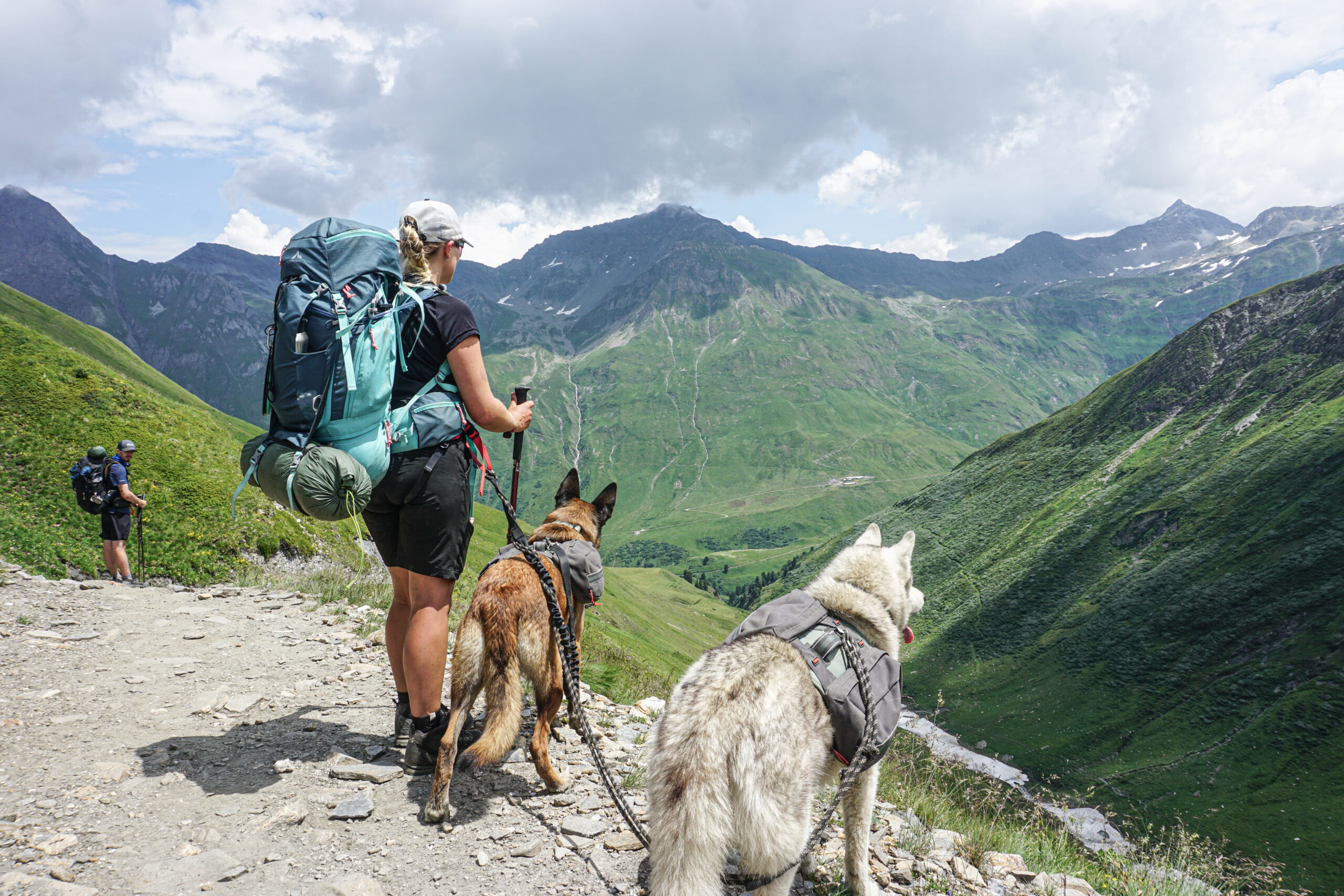 rando en montagne avec son chien